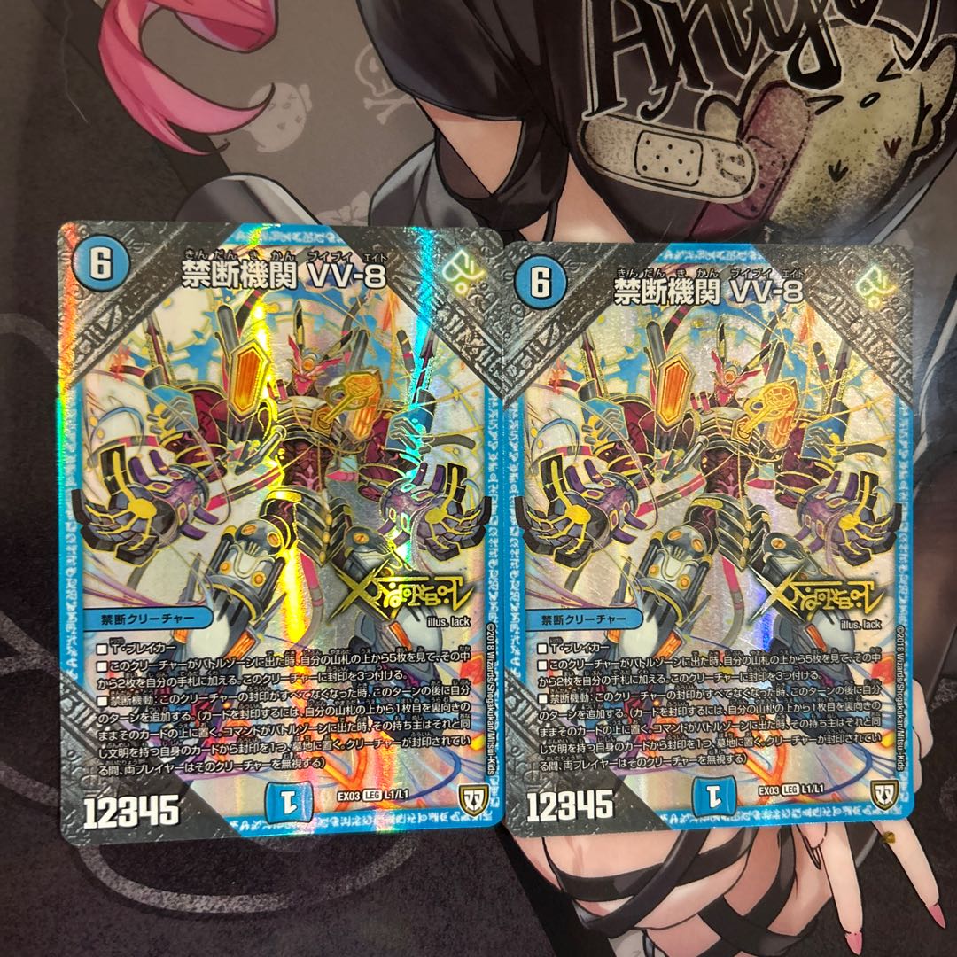 Forbidden institution VV-8 LEG L1/L1