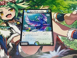 コンプライーグル