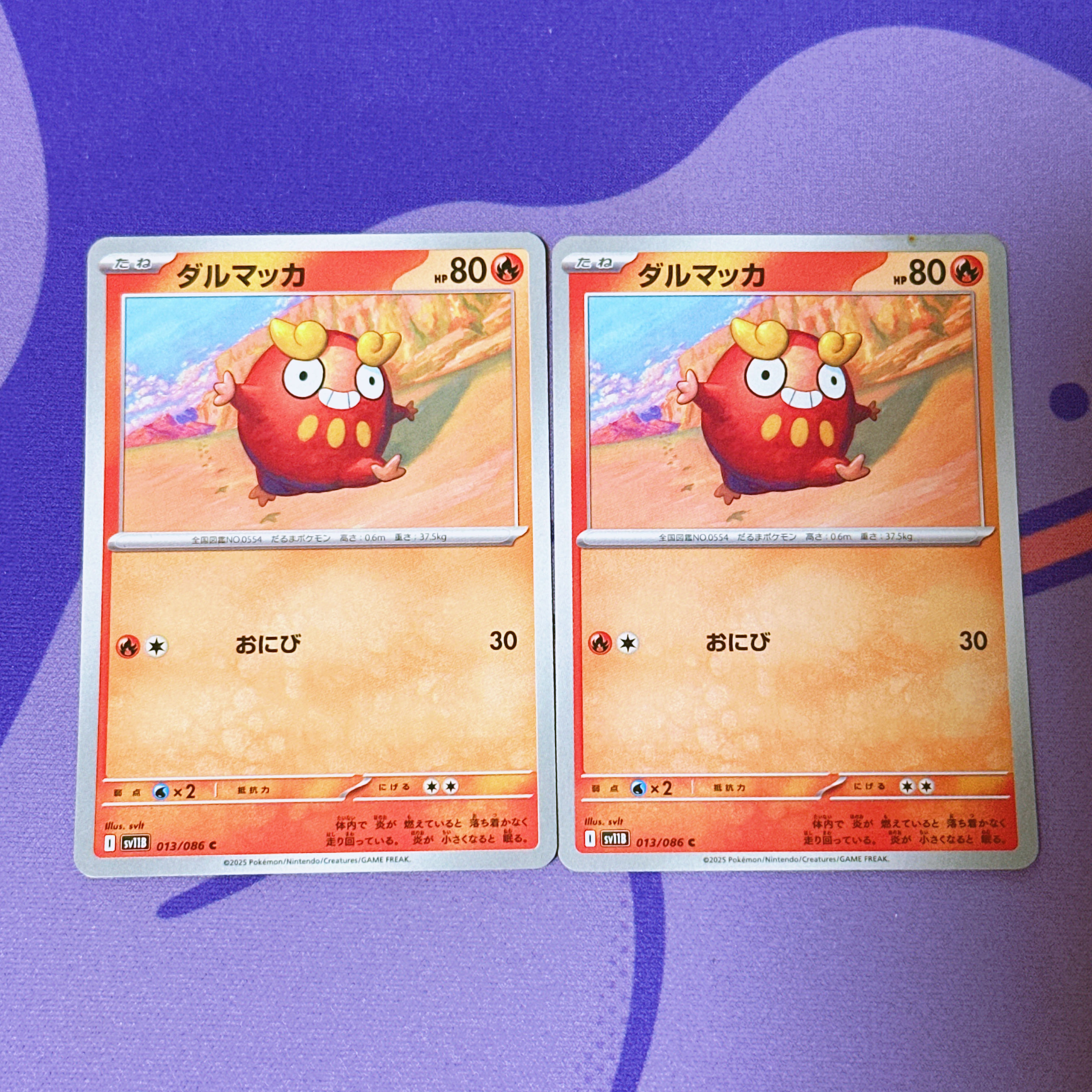 ダルマッカ C 013/086