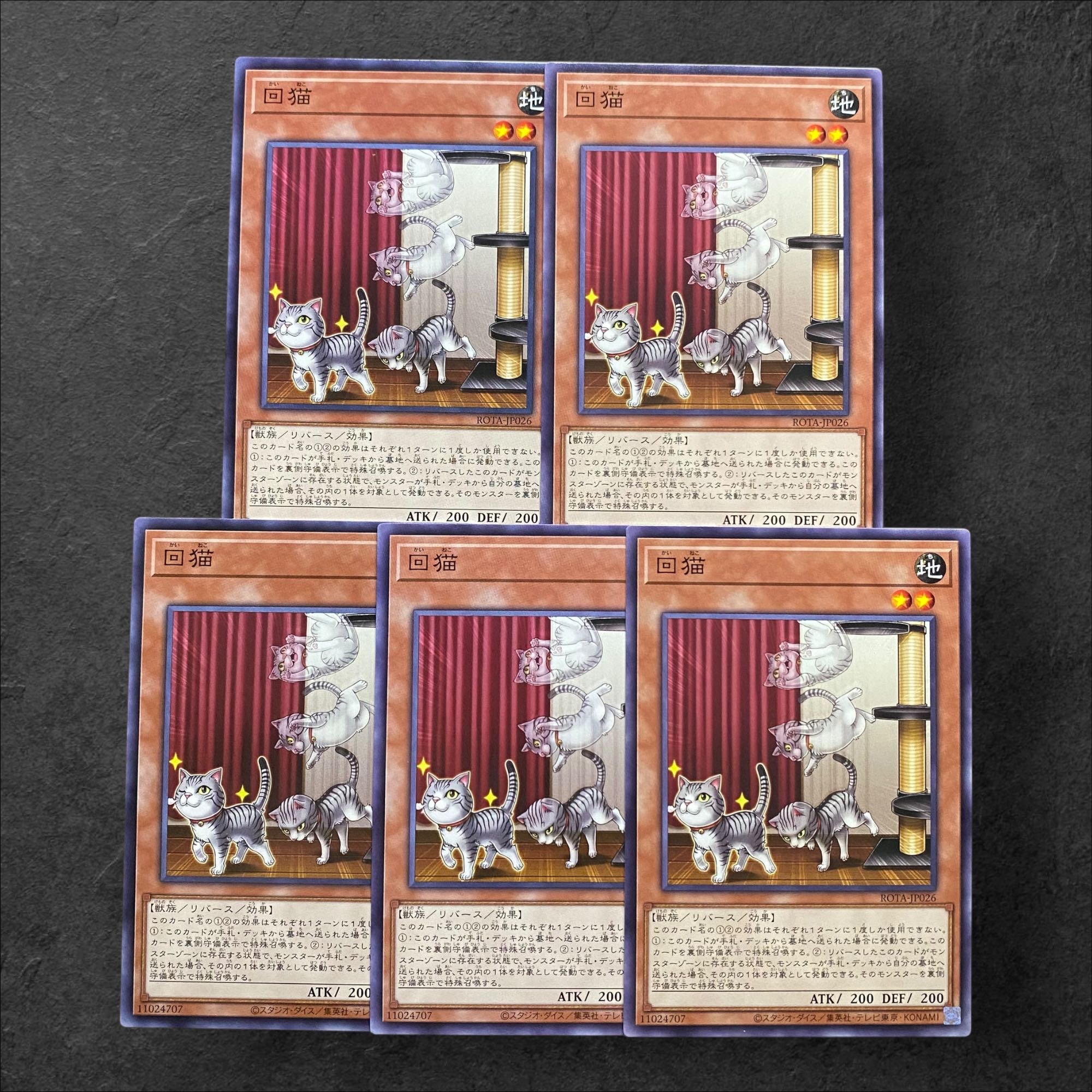 6837 [King of Games] Kairoko 5-card set