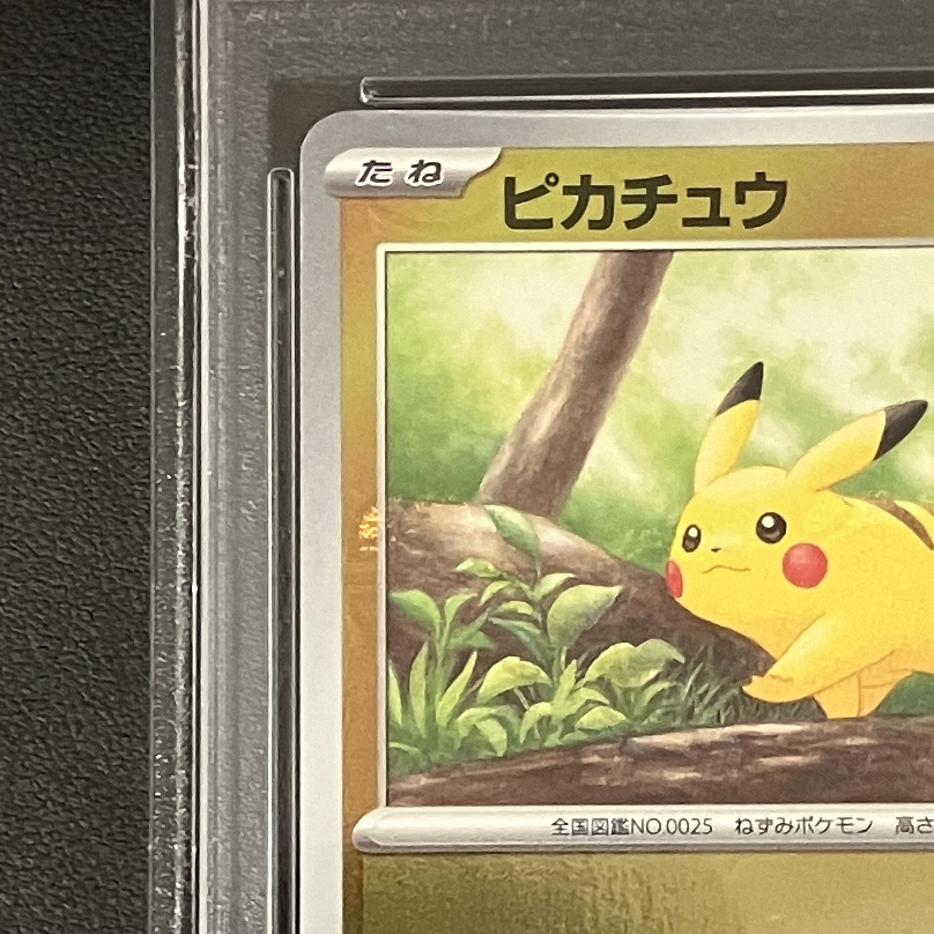 PSA10] Pikachu (Master Ball Pattern/Mirror) C 025/165