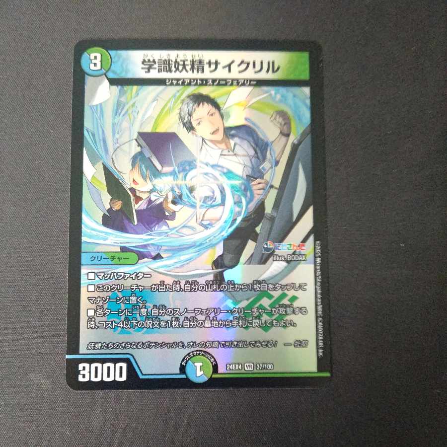 Academic Fairy Cyclel VR 37/100