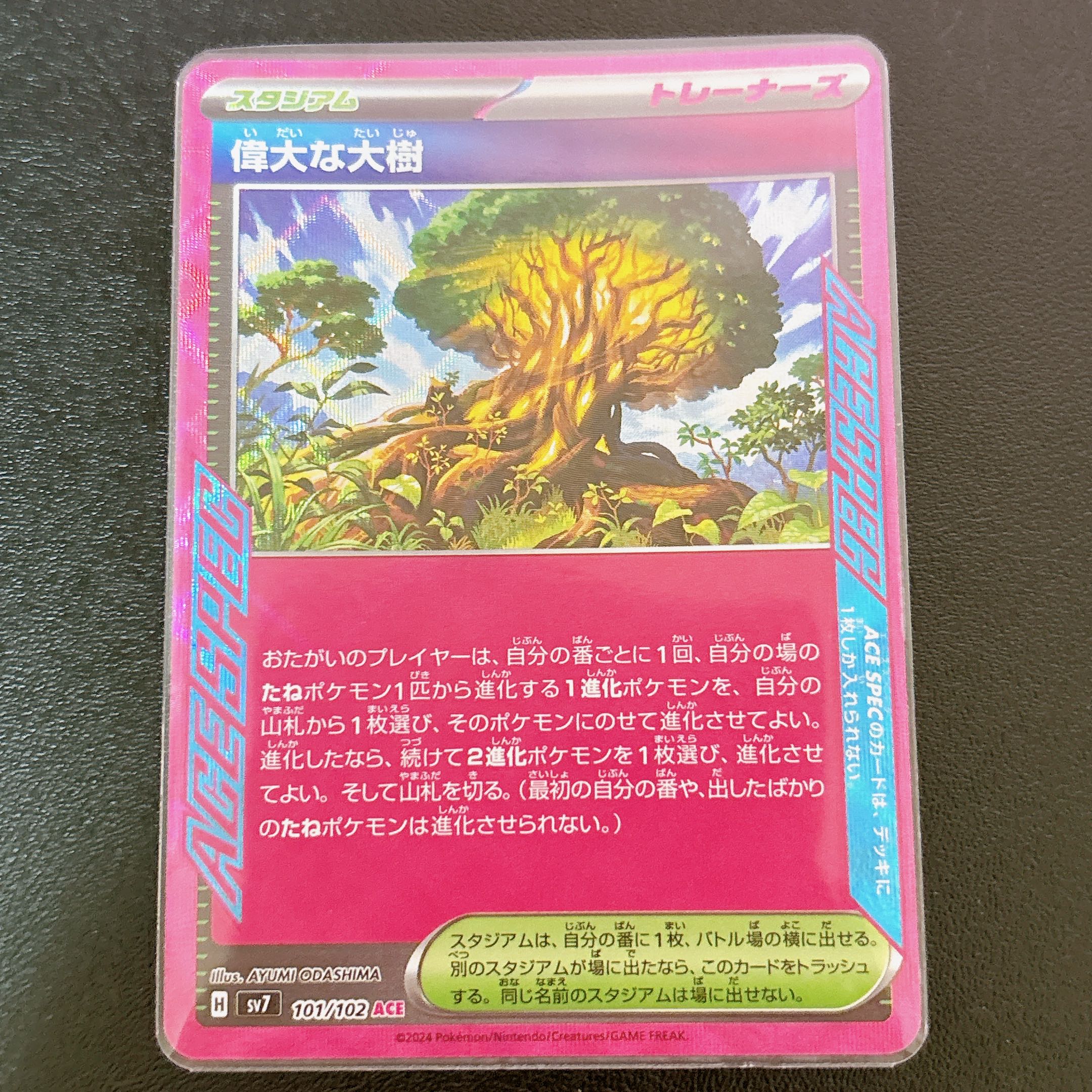 The Great Big Tree 1枚