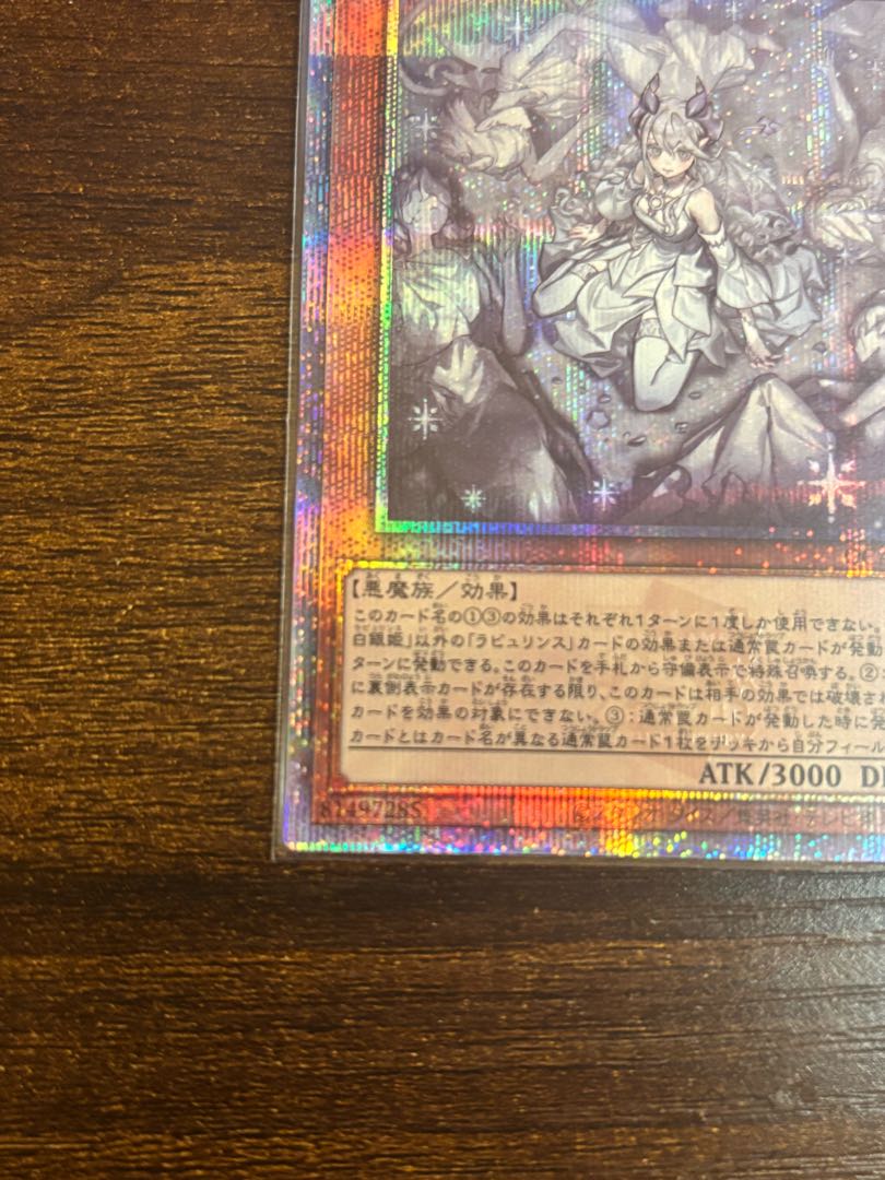 迷宮城の白銀姫(イラスト違い版) QCSE