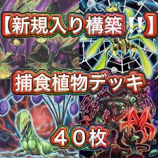 遊戯王【新規入り構築！！】捕食植物デッキ４０枚 1枚