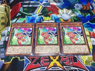 Y-2224 Amazement Ambassador Bufo Normal JP007