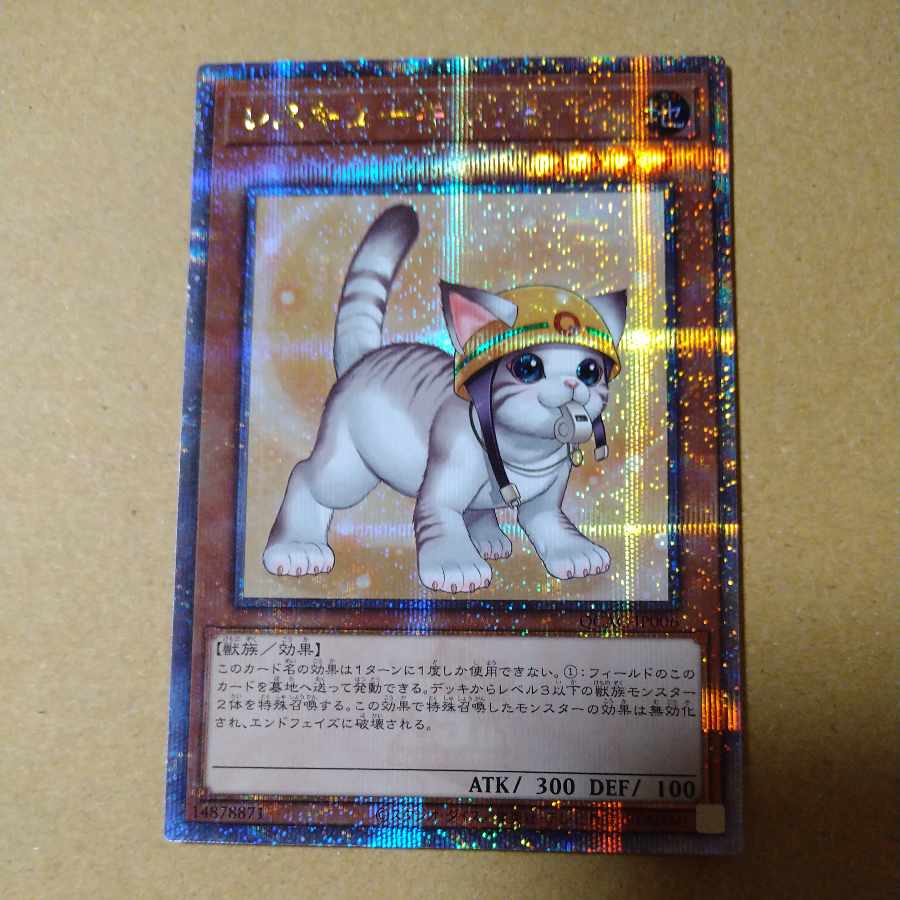 Rescue Cat (different illustration version) QCSE, 25th Siku QCAC-JP006