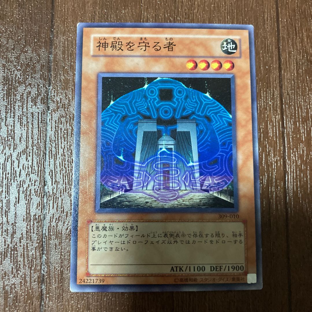 Protector of the Sanctuary