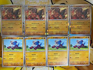 ヒスイウインディ」の激安通販 | magi