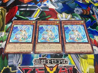 Y-2629 WW-Blizzard Bianca Normal JP016