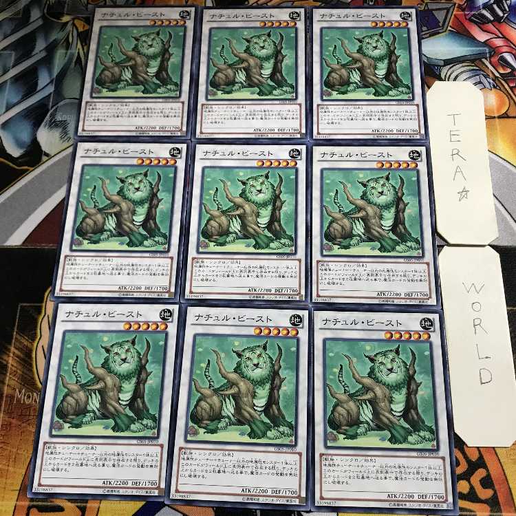 Junk Warrior 1 Normal, set of 9 Tera.