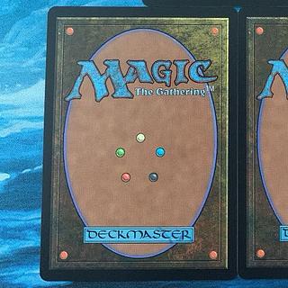 MTG 枚 虹色の眺望 1枚