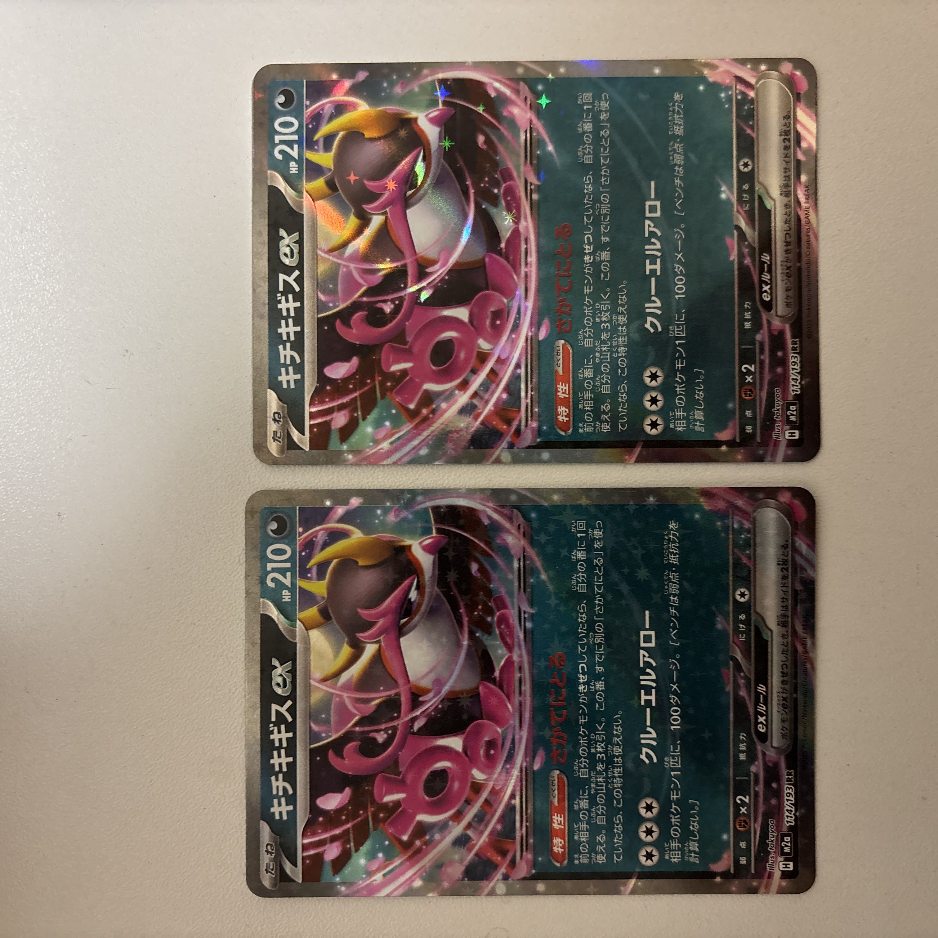 Kicuki Kigis ex. 2枚