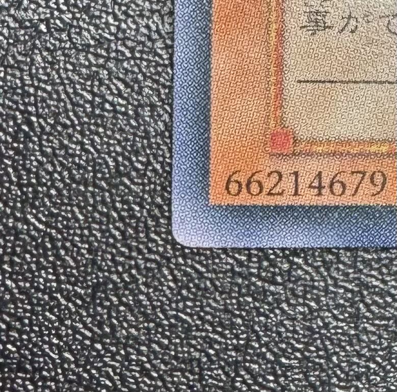 ダークホルスドラゴン/ドラゴン族/ 遊戯王カード/レリーフ/アルティメットレア 1枚