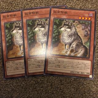 孤高除獣 ノーマル DBCB-JP026 1枚