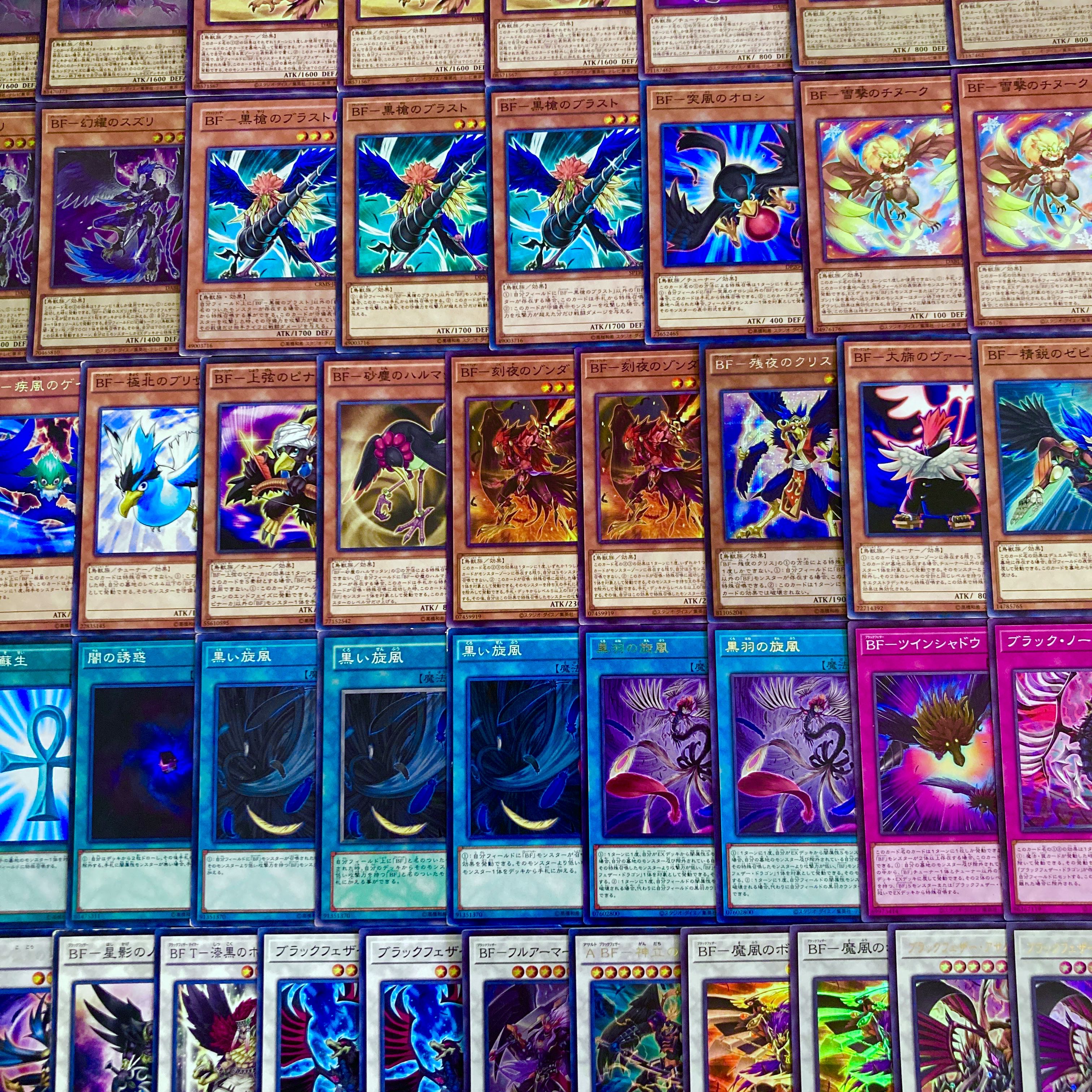 遊戯王【超本格構築！！】ＢＦデッキ４０枚