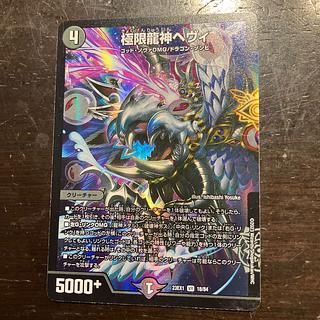 極限龍神ヘヴィ VR 18/84