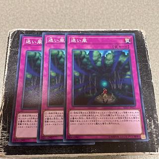 予約確定 迷い風 ノーマル JP037  3枚 3枚