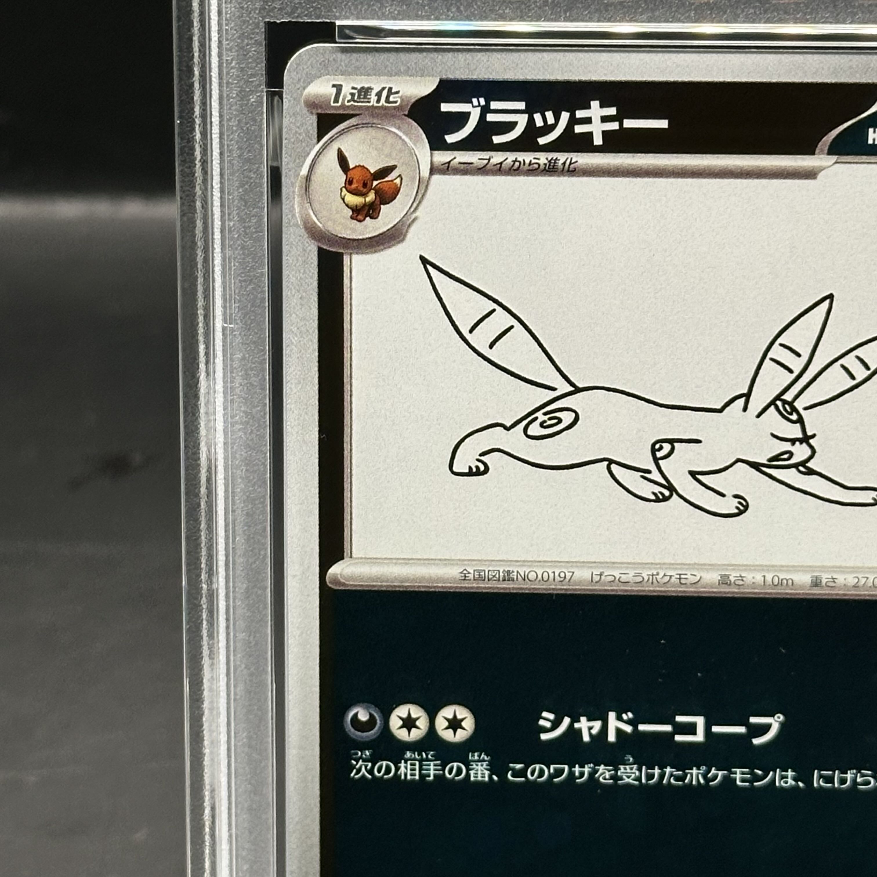 【PSA10】ブラッキー YU NAGABA プロモ 開封済み PROMO 067/SV-P