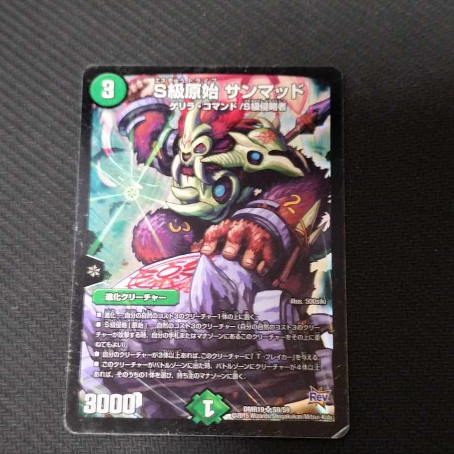 Class S Primitive Sunmad SR S9/S9 Scratched 1枚