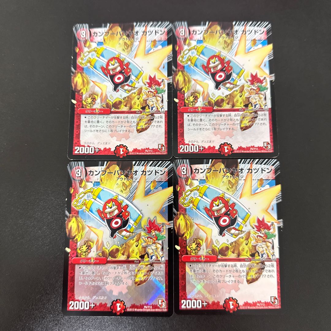 Kang Hoopa Ng Yao Katsudon P6/Y12