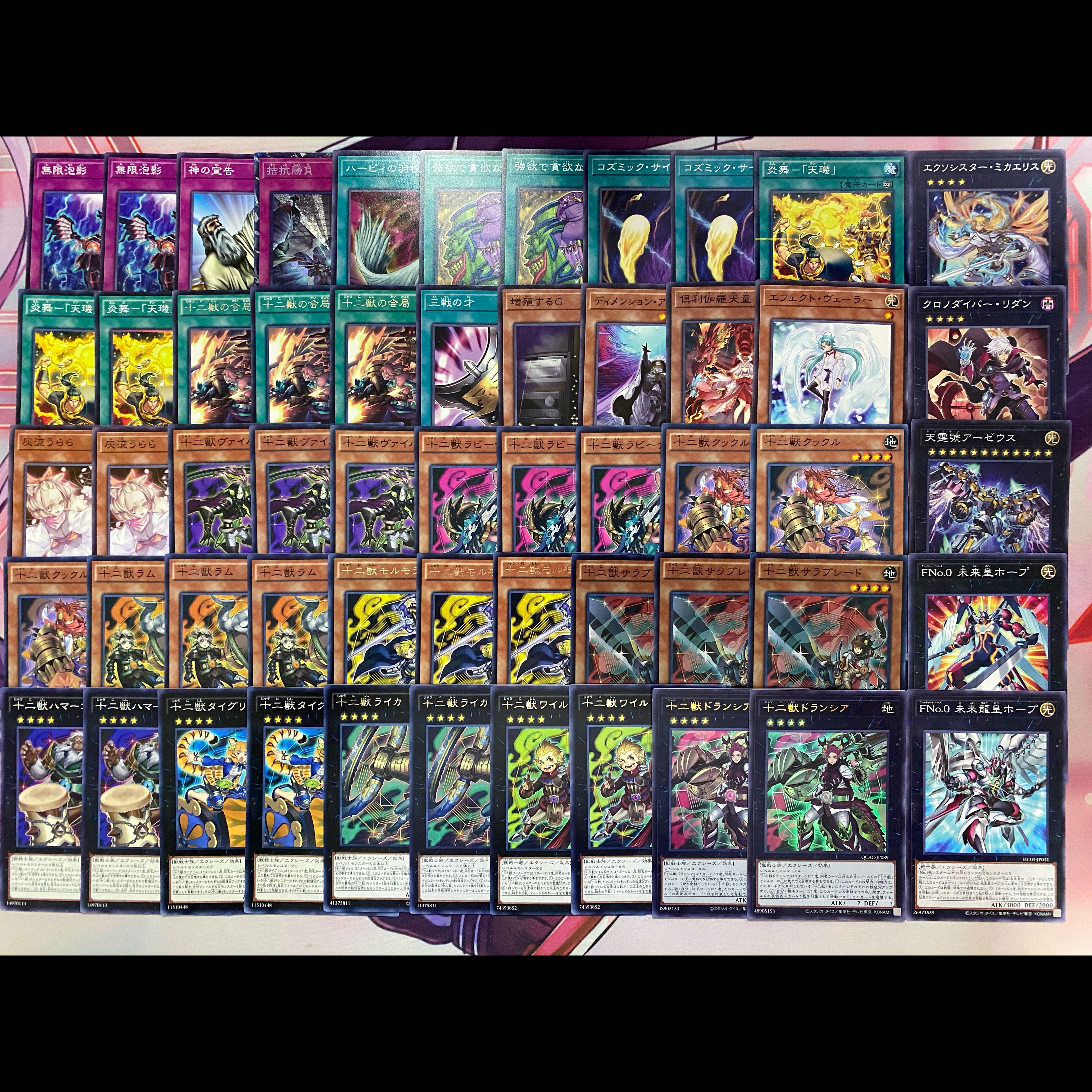 【24時間以内発送】遊戯王　十二獣　大会構築デッキ 1枚