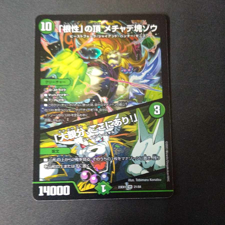 The Top of "Nuts" Mechadekkotsu elephant｜"Here is the big boss! VR 21/84