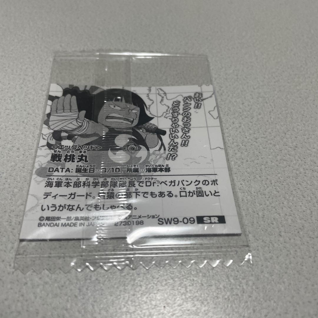 One Piece Wafer Seal 1枚