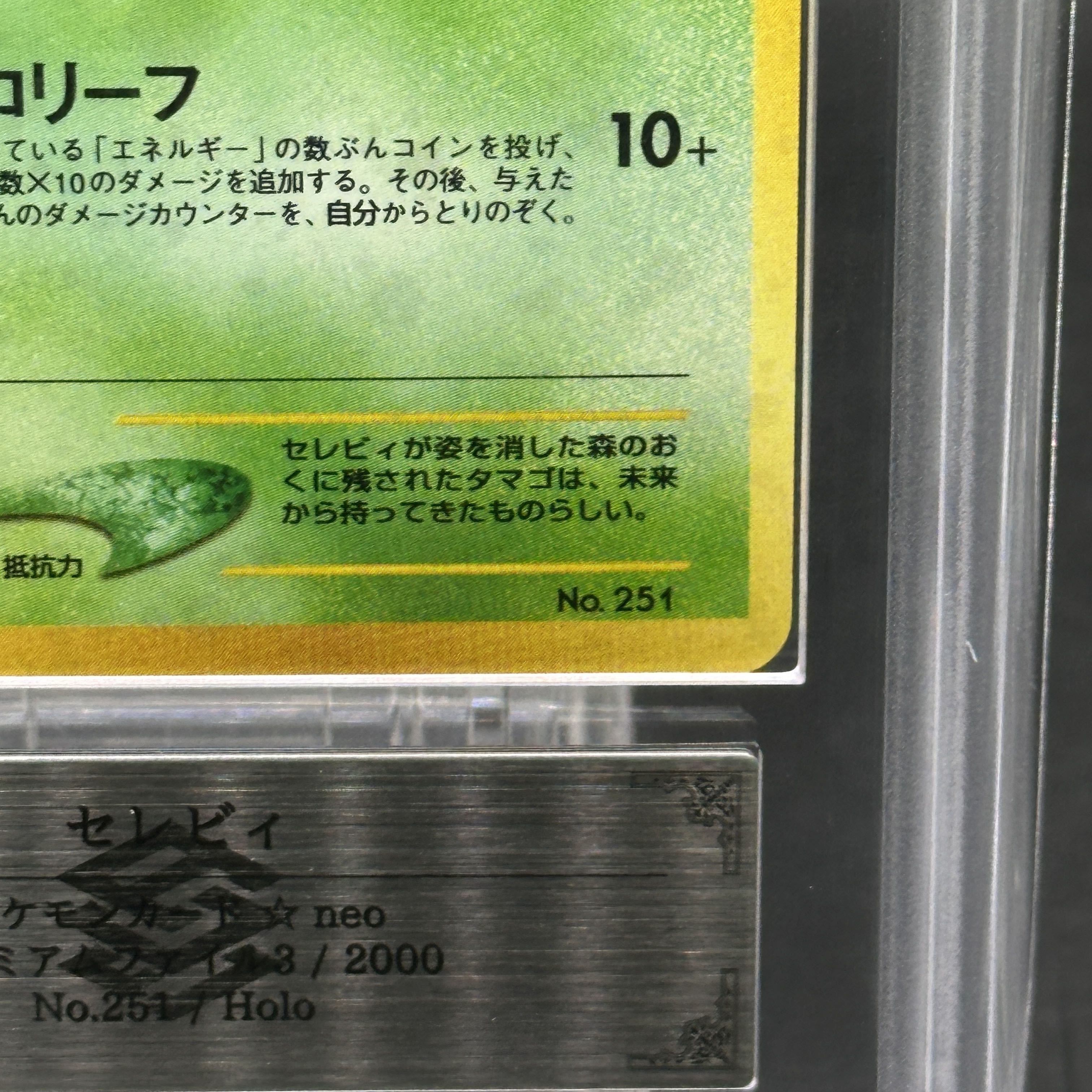 【ARS10】セレビィ プレミアムファイル 旧裏  1枚