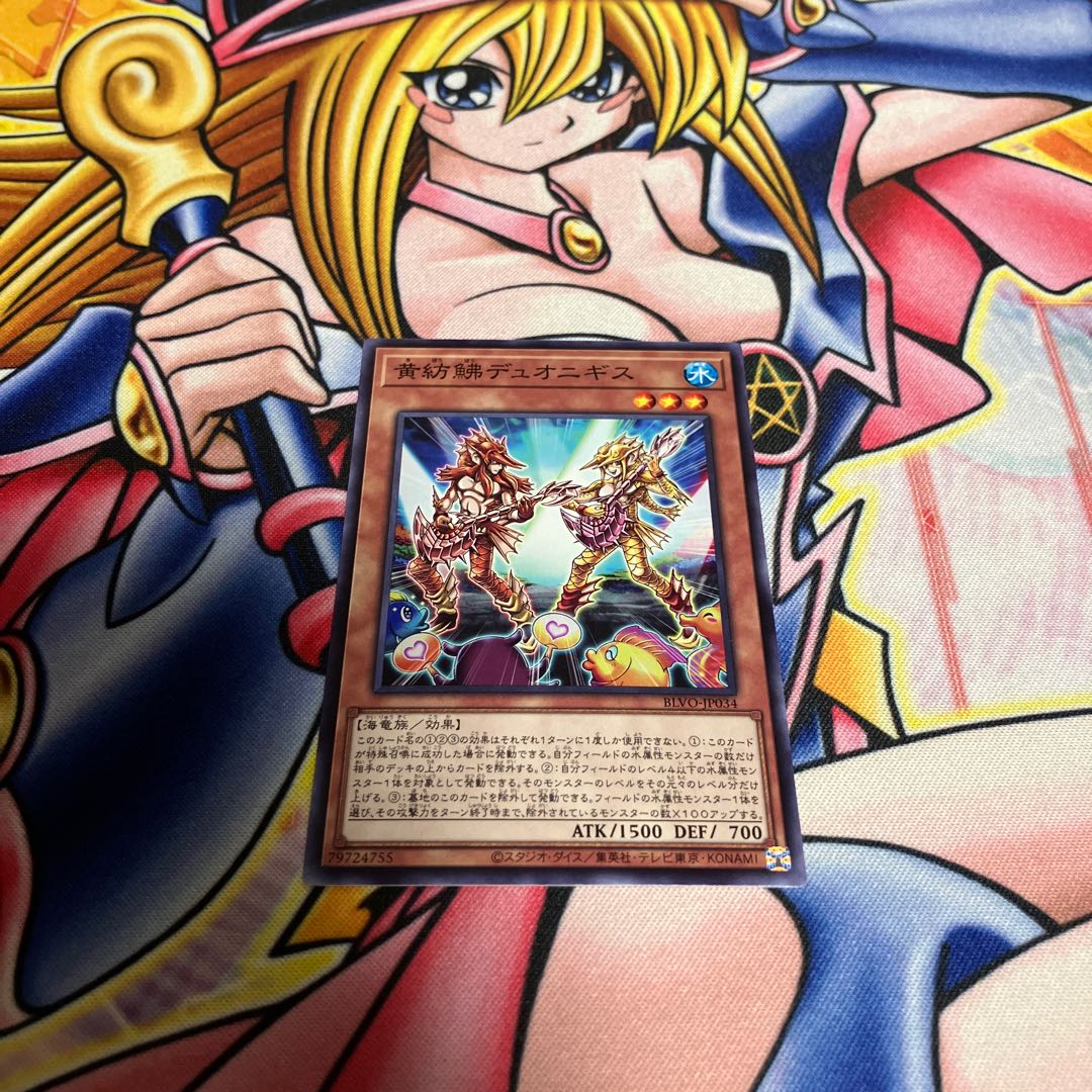 Guitar Gurnards Duonigis Normal JP034 1枚