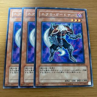 Necro Gardna Rare JP012 3枚