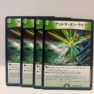 Antoma Tan Life C 104/105