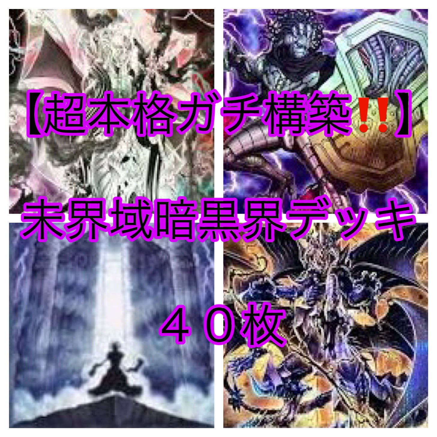 遊戯王【超本格ガチ構築！！】未界域暗黒界デッキ40枚の通販 