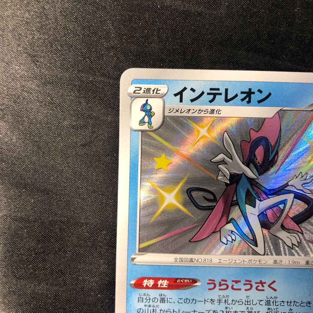 インテレオン S 226/190 1枚