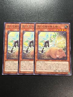 遊戯王スタジオ 3枚 森と目覚の春化精 レア JP017