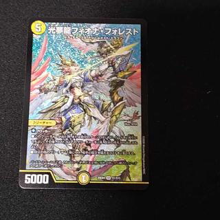 光夢龍フィオナ・フォレスト