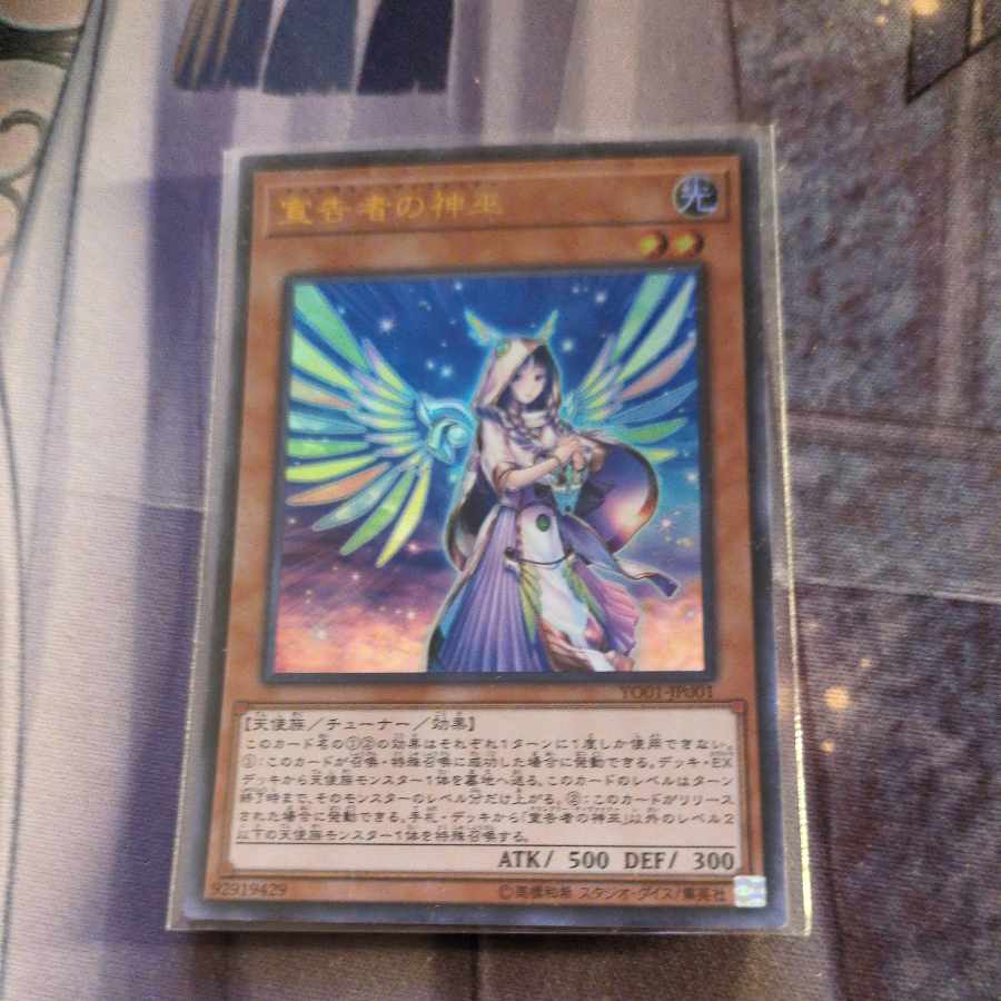 Diviner of the Herald