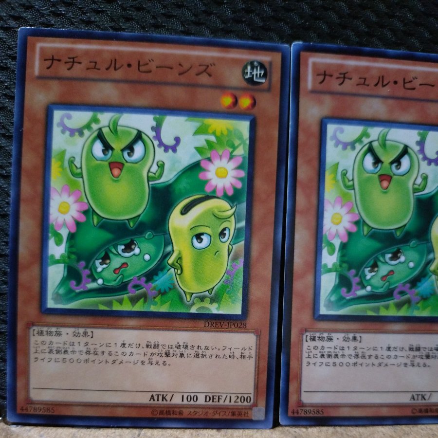 【ぽぽたん】遊戯王  6063  ナチュル・ビーンズ ノーマル   ２枚 2枚
