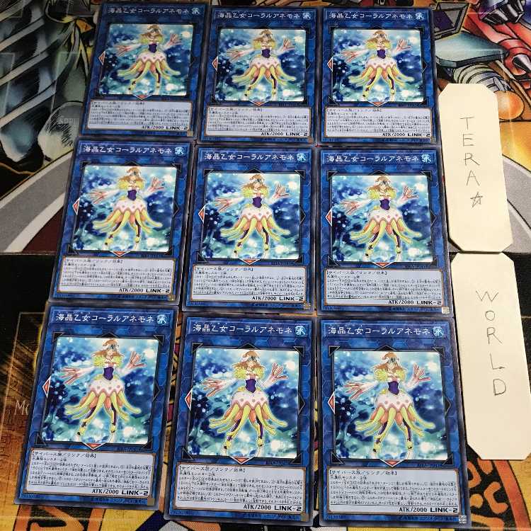 Marincess Coral Anemone 1 Normal, set of 9 Tera.