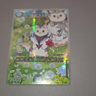 Deaddam Cat Art Dead Dam, Cat Art, Natural Disaster, Dead Dam, 10/18 1枚
