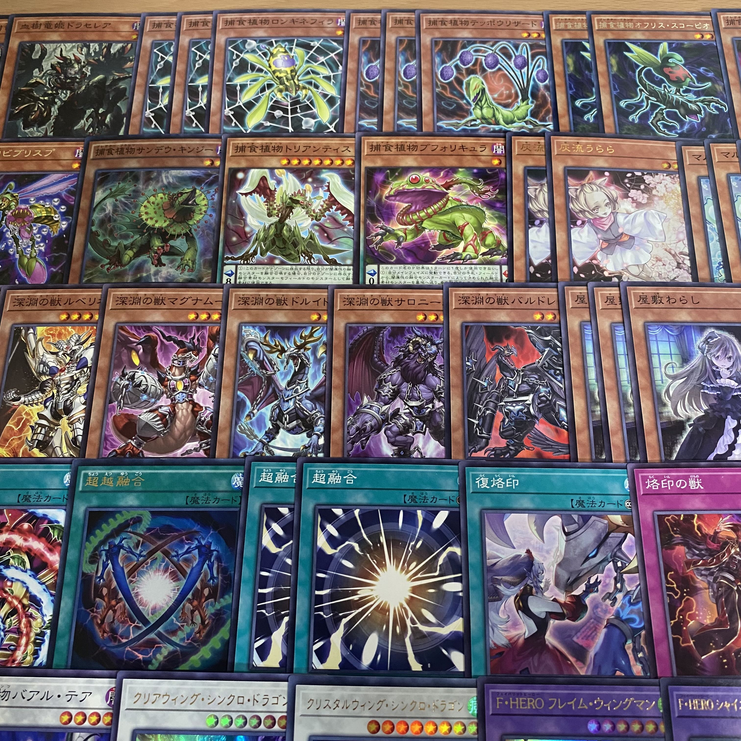 本格構築 捕食植物 デッキ 遊戯王 四天の龍スターヴヴェノムフュージョンドラゴン 超融合 オフリススコーピオ 血樹竜姫ドラセレア 1枚