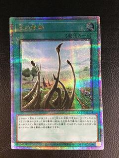 4) Dragon Shrine QCSE, 25th Sikh QCCP-JP194