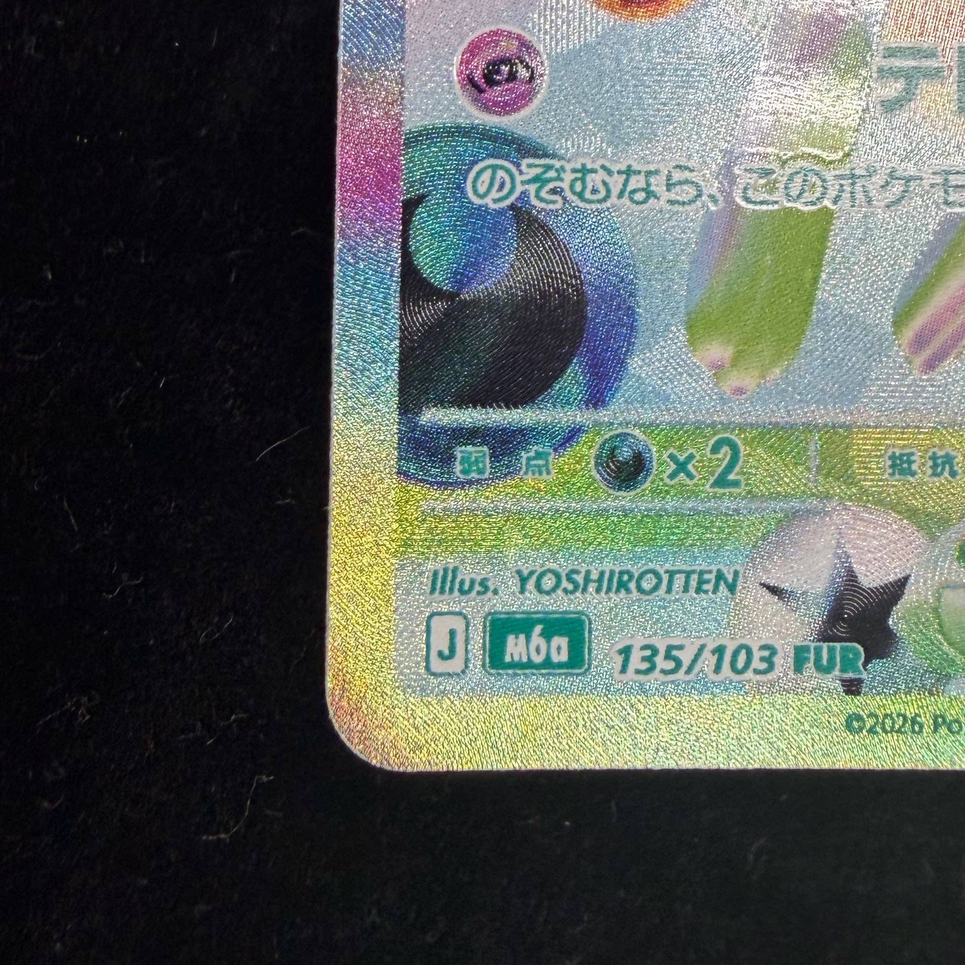 Mewex FUR 135/103 1枚