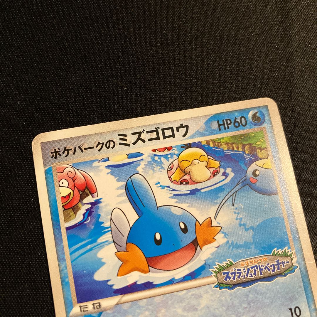 h155 ポケパークのミズゴロウ 048/PCG-P プロモ ミズゴロウのスプラッシュアドベンチャー ポケモン トレトレ 1枚