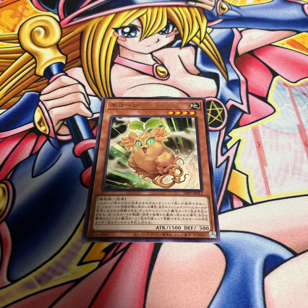 Necone Normal 23PP-JP011