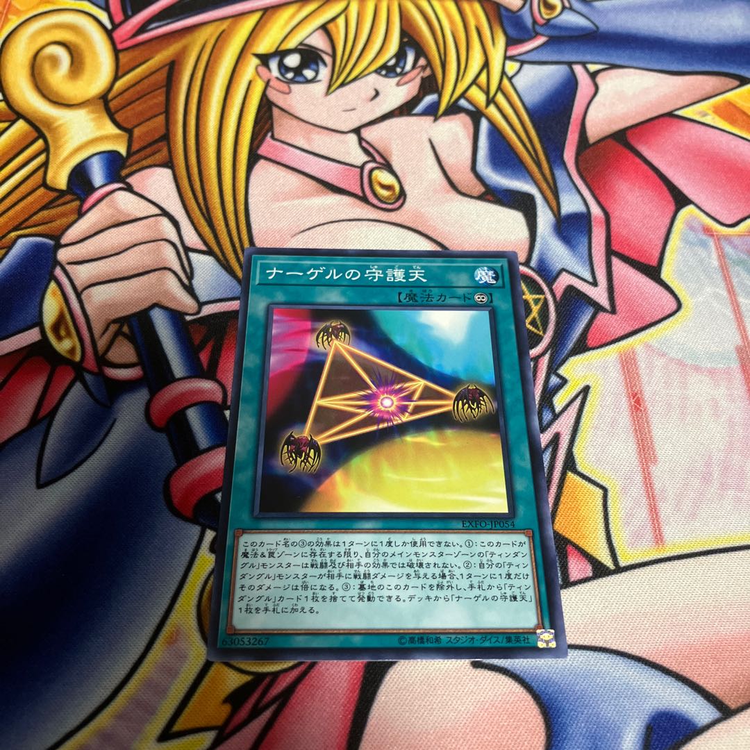 Nagel's Protection Normal JP054