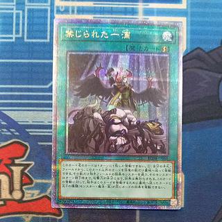 Forbidden Droplet QCSE, 25th Sic RC04-JP065