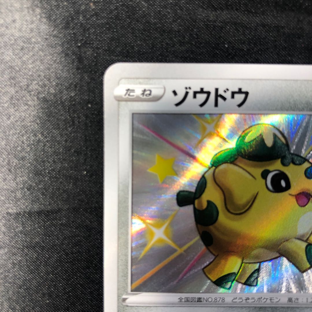 ゾウドウ S 289/190 1枚