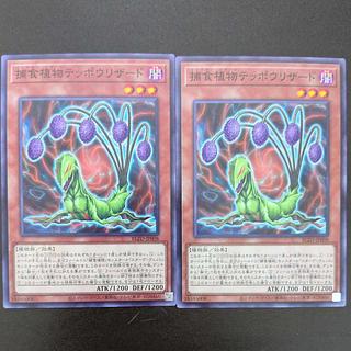 捕食植物テッポウリザード