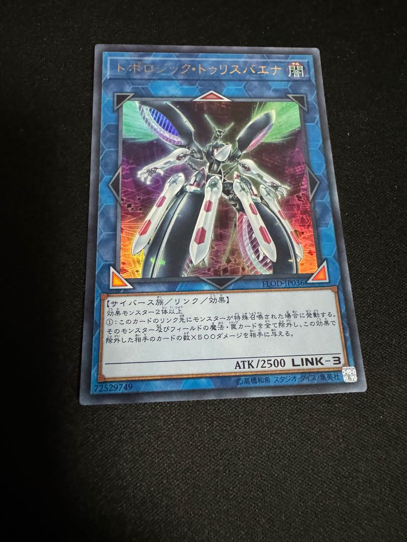 No.37 トポロジック・トゥリスバエナ